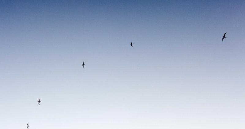 単なるAIツールはもう古い。あなただけの「AIスキルセット」を構築するAutoSkillsが、仕事の未来を書き換える。